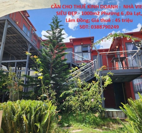 CẦN CHO THUÊ KINH DOANH - NHÀ VIEW SIÊU ĐẸP - 1000m2 Phường 6 ,Đà Lạt, Lâm Đồng